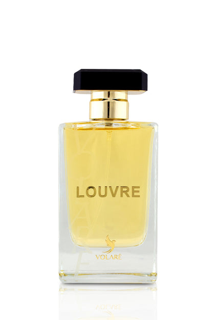 louvre volare