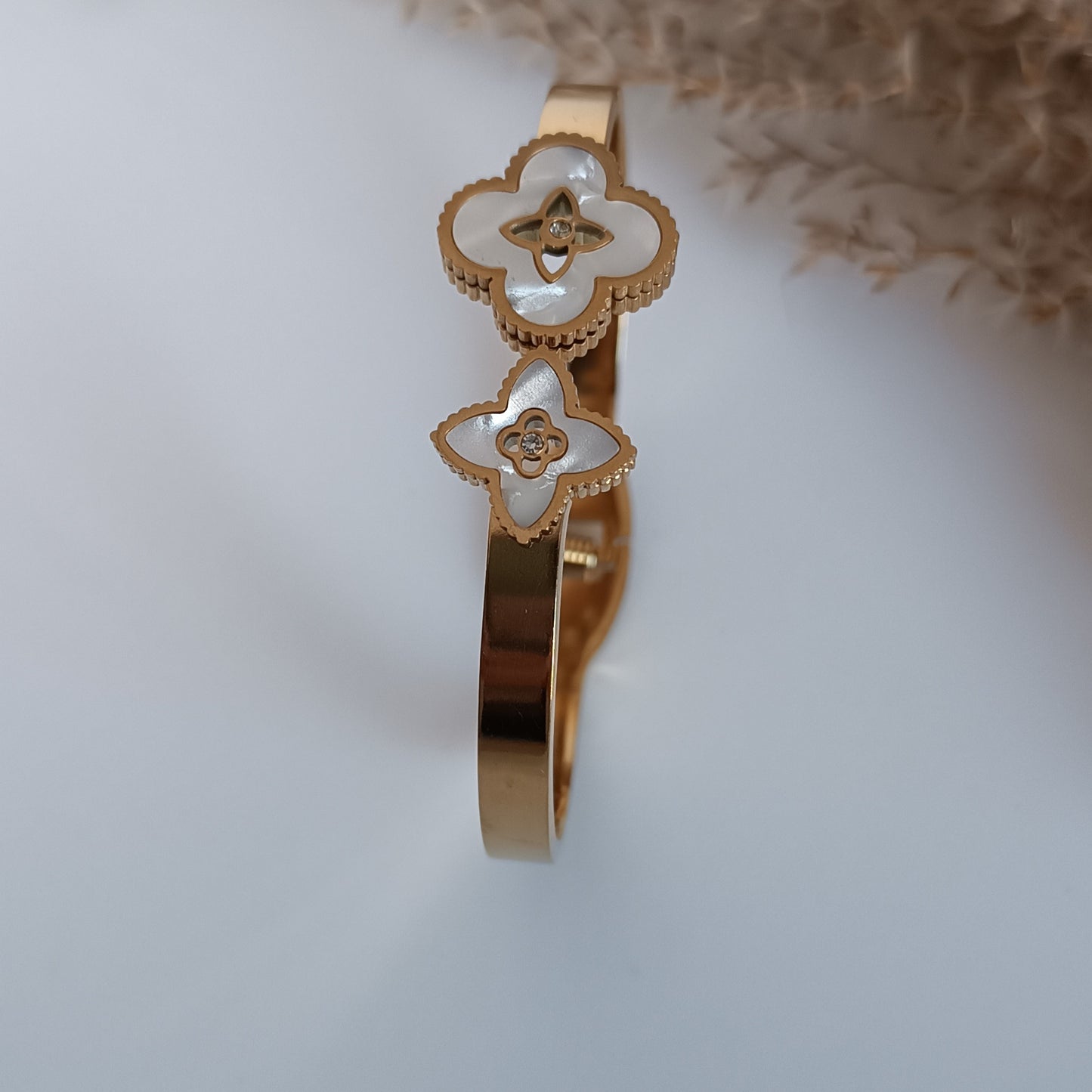 brazalete