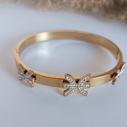 brazalete